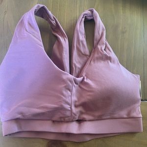 Whitney Simmons sports bra